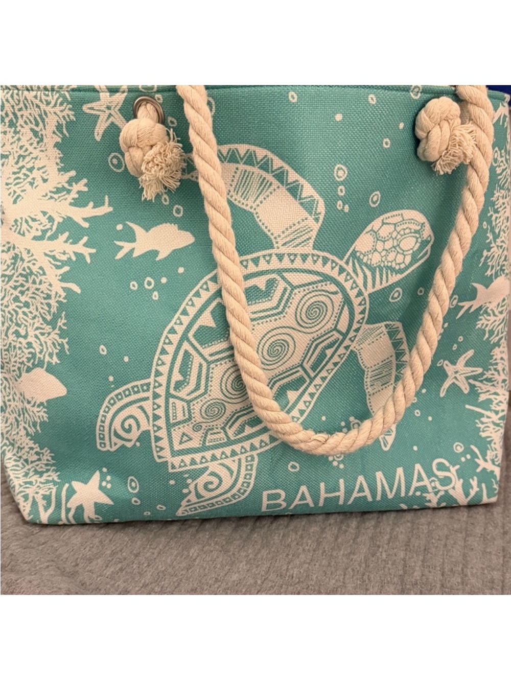 Bahamas Sea Turtle Canvas Tote Bag in Teal